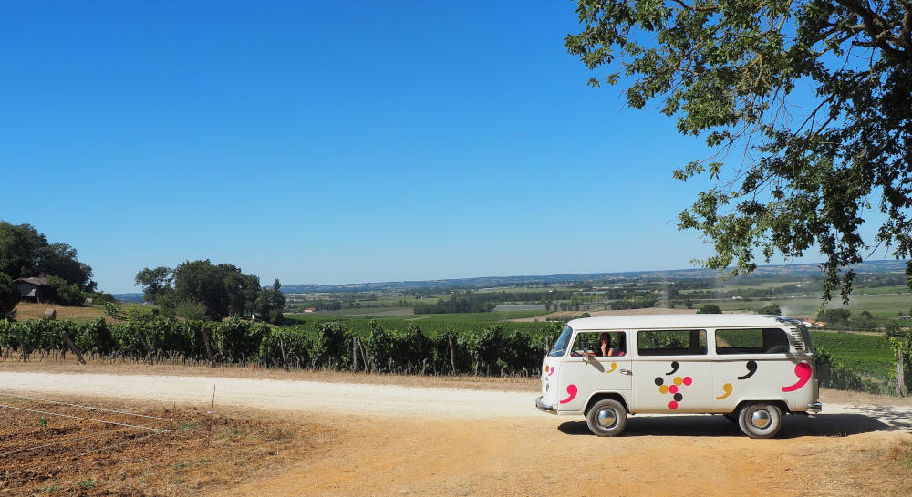 Visite en Combi dans les vignobles de Cocumont