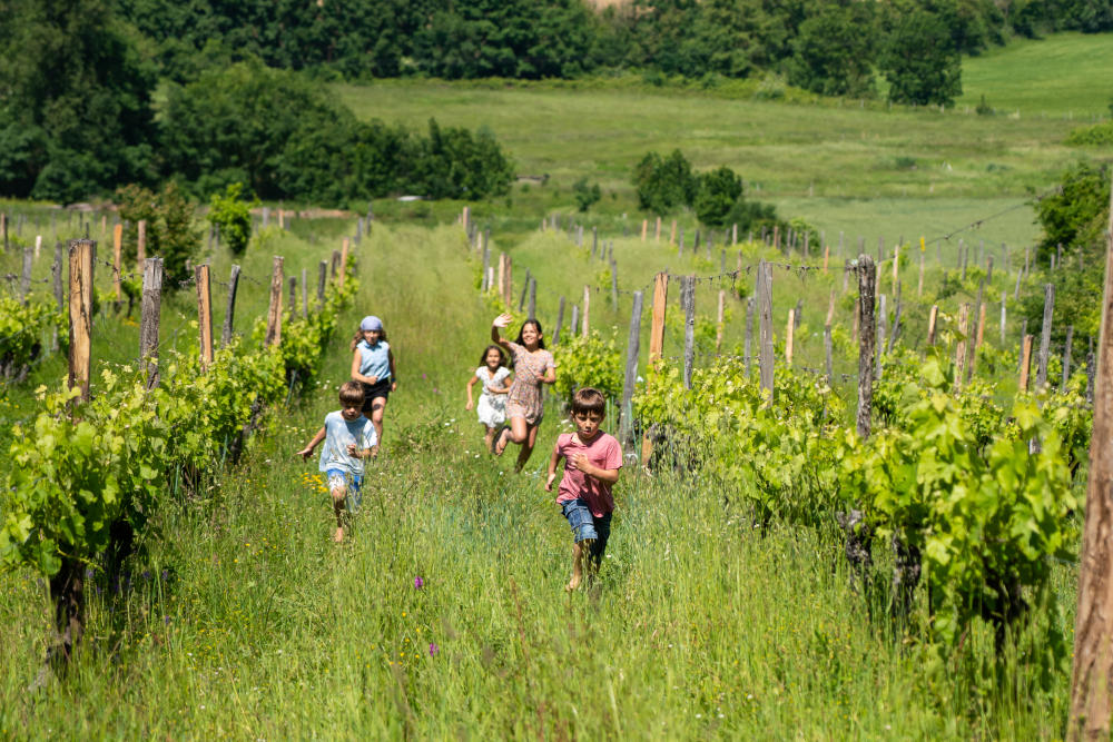 Domaine Les Hauts de Riquets