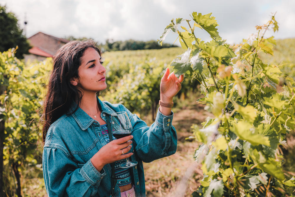 Vignoble de Buzet