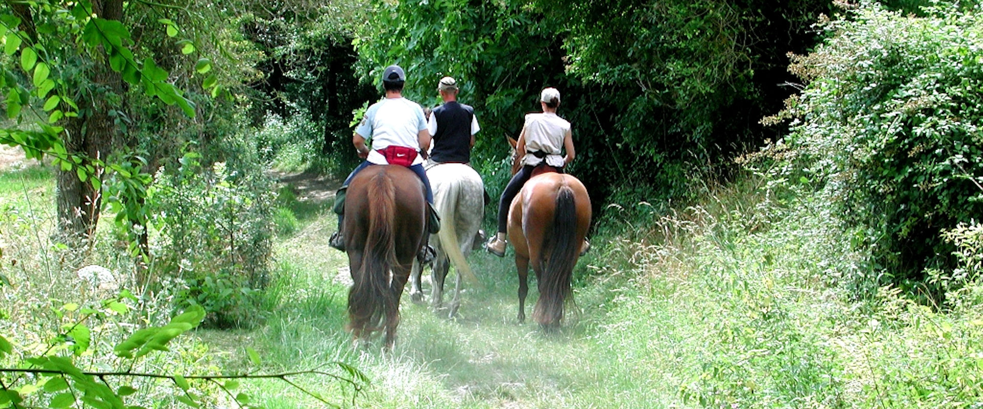 Promenade à cheval en Agenais