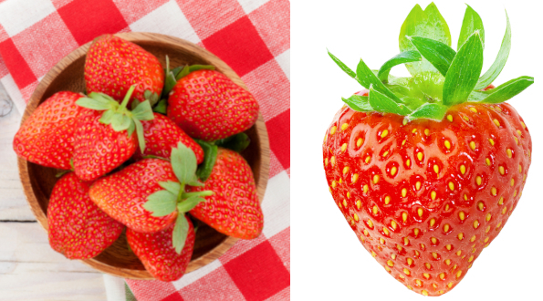 Charlotte © AOPN Fraises et Framboises de France
