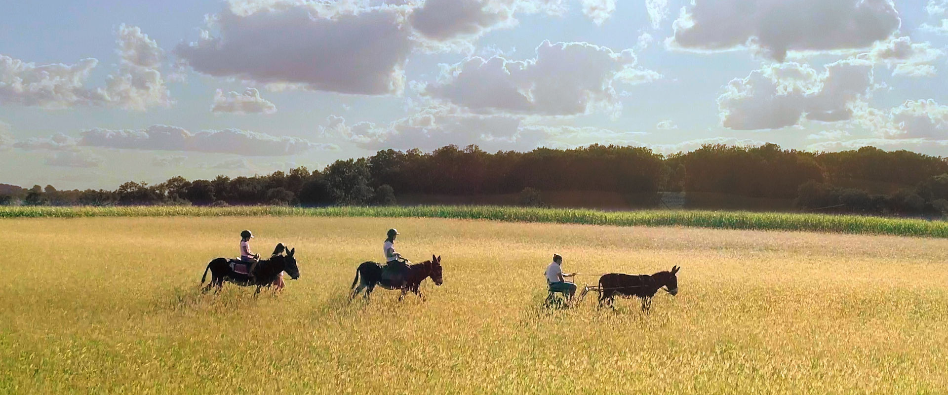 Balade à cheval en Coeur de Bastides