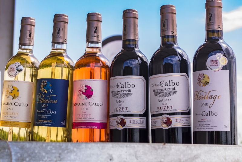 Un Dimanche au vignoble