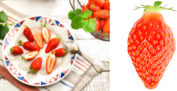 Gariguette © AOPN Fraises et Framboises de France